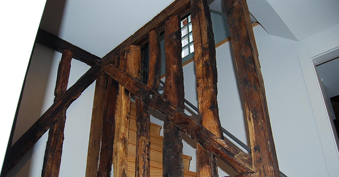 Image 11.jpg